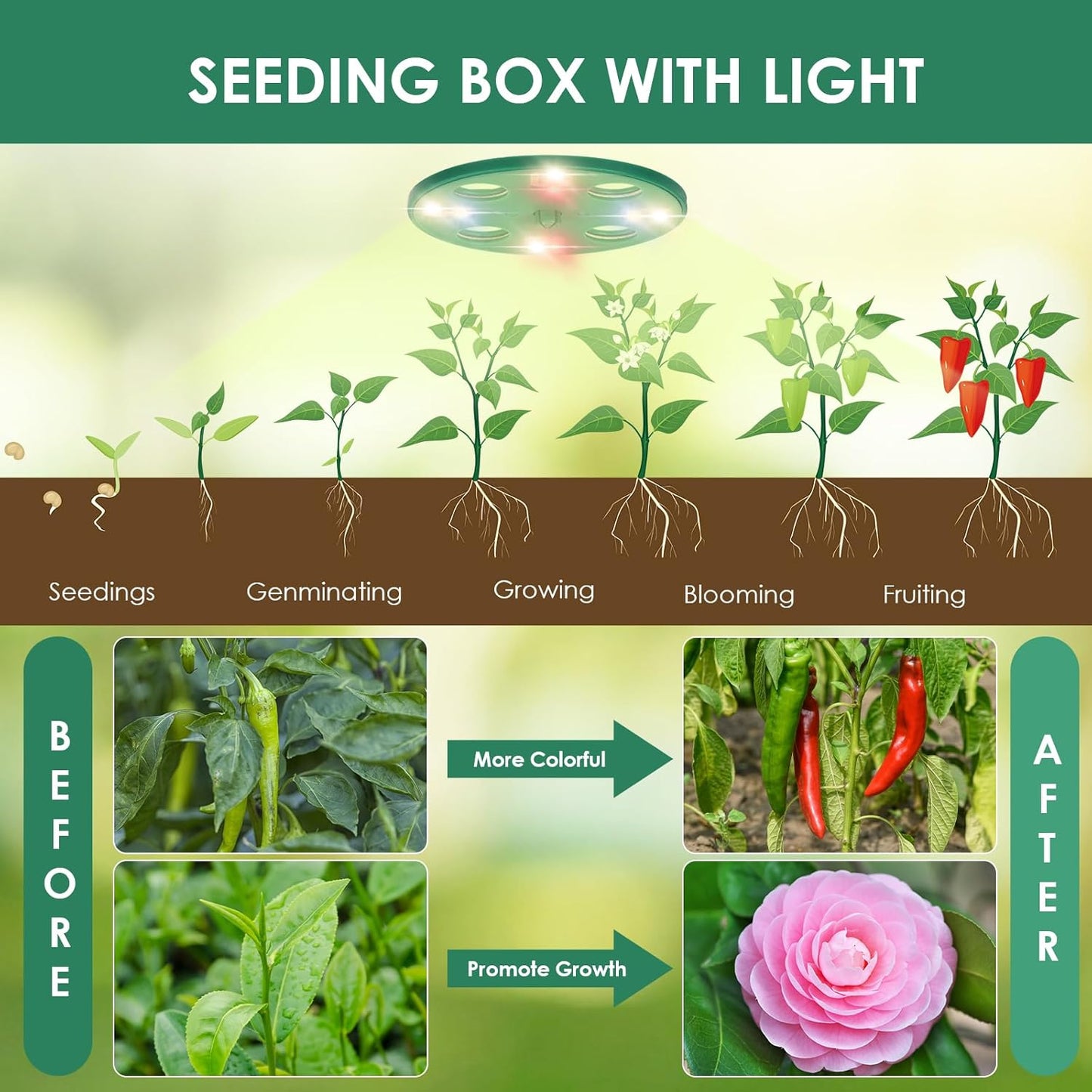 Qoosea Bandejas Semillas de Germinacion con Luces de Cultivo