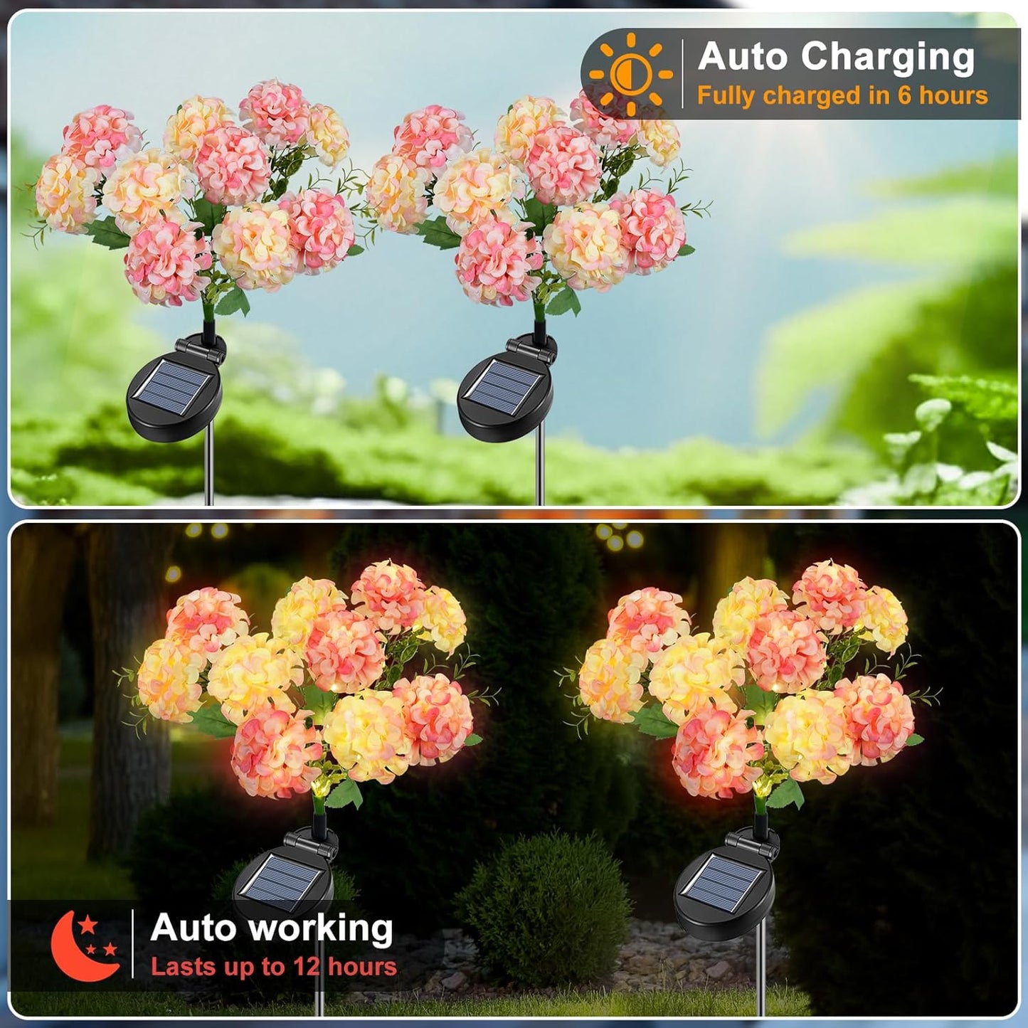 Qoosea Solar Garden Lights 2 Pack Pathway Lights Outdoor Waterproof with 20 Hydrangea Flowers Lights