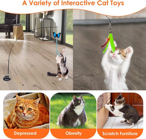 Cat Toy 10 Pcs Interactive Feather Toy with Suction Cup