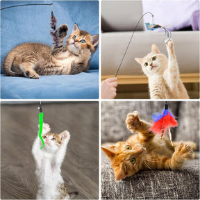 10 PCS Interactive Cat Toy Feather Toy with Suction Cup