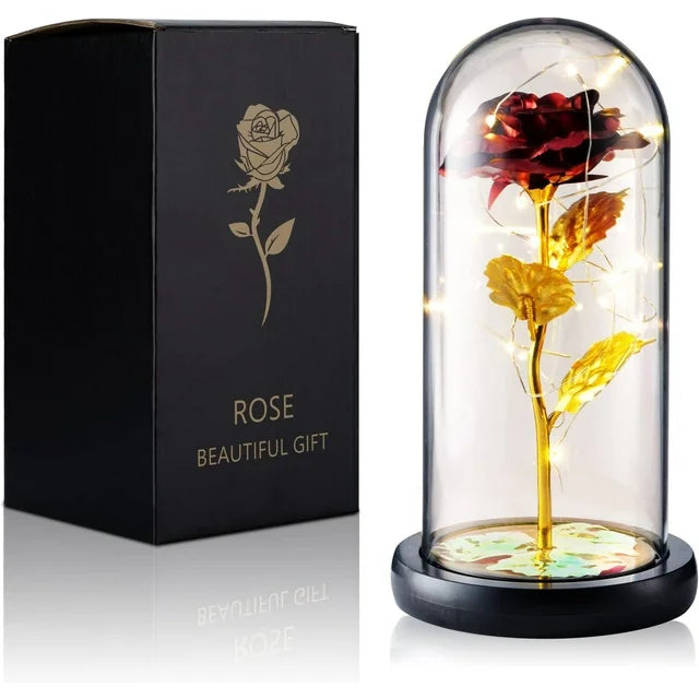 Qoosea Rose Flower Gifts for Women, Forever Rose in Plastic Dome Romantic Gifts for Her Christmas Anniversary Valentine's Day Mother's Day Birthday - Red